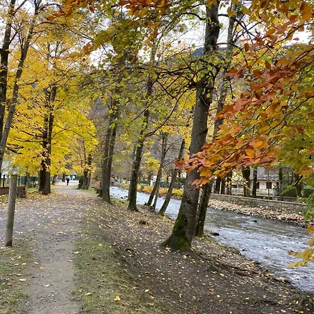 アパート Newly Renovated Ground Floor Close To Thermes *