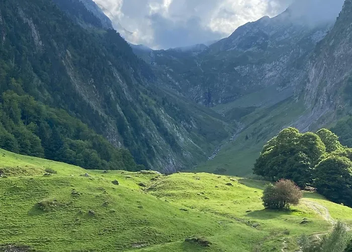 Newly Renovated Ground Floor Close To Thermes Apartment *