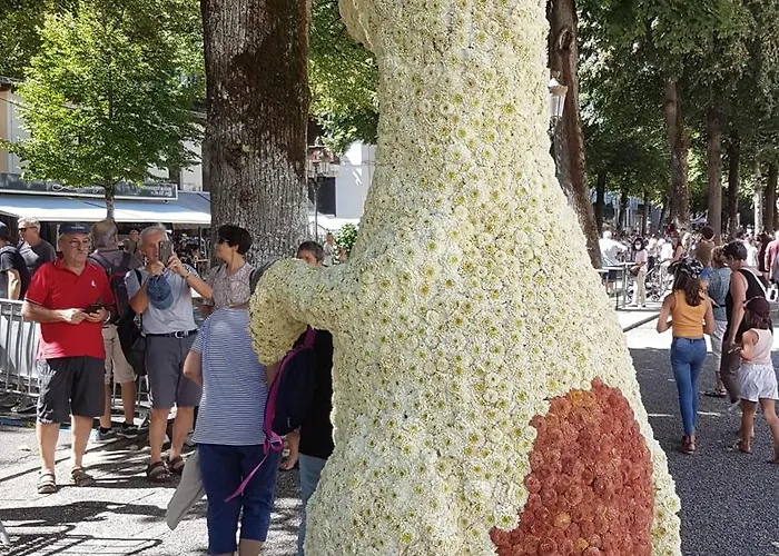 Apartment Newly Renovated Ground Floor Close To Thermes