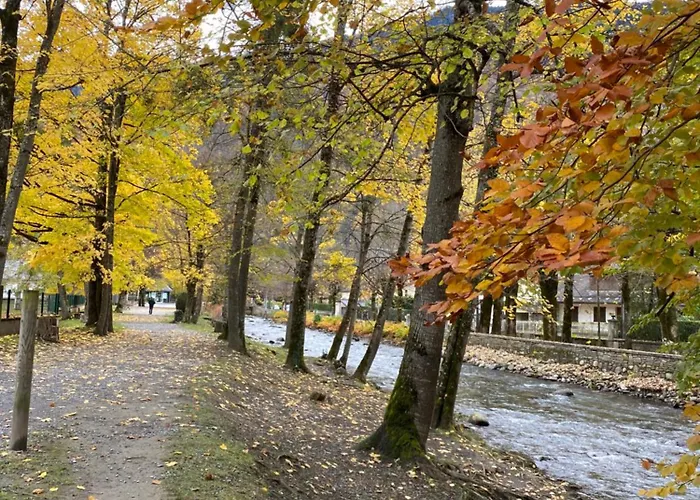 Apartment Newly Renovated Ground Floor Close To Thermes *